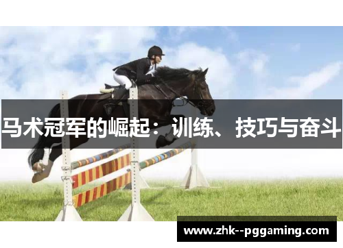 马术冠军的崛起：训练、技巧与奋斗